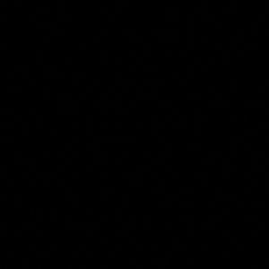 Meet your Posher, Troy